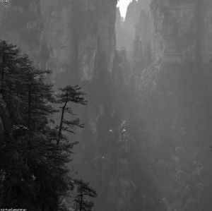 Zhangjiajie Avatar Family Camp: 4-Day Journey into the Floating Mountains