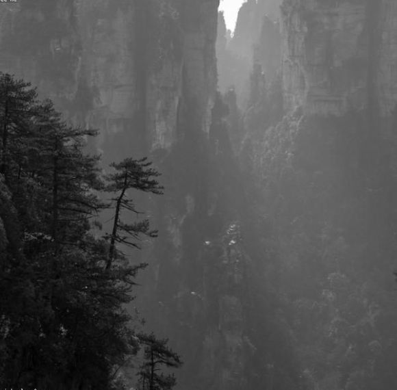 Zhangjiajie Avatar Family Camp: 4-Day Journey into the Floating Mountains
