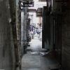 Zhejiang · Taste of Jiangnan & Local Life Food Tour