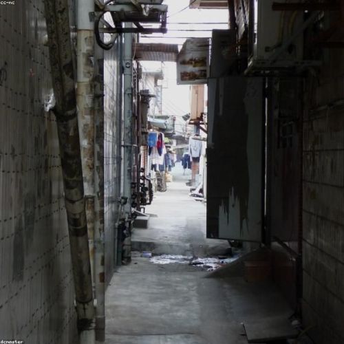 Zhejiang · Taste of Jiangnan & Local Life Food Tour