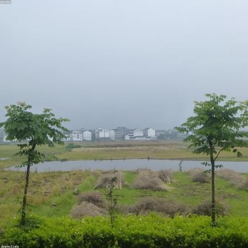 Zhejiang · Taste of Jiangnan & Local Life Food Tour