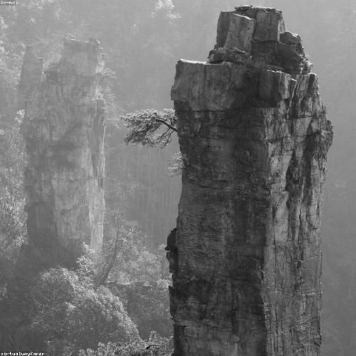 Zhangjiajie Chinamaxxing Challenge — 6 Days / 5 Nights