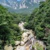 Zhangjiajie Chinamaxxing Challenge — 6 Days / 5 Nights