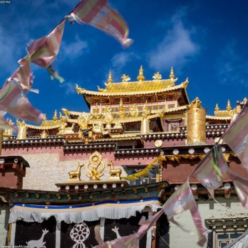 Yunnan Plateau Escape — Dali, Lijiang & Shangri-La 8 Days / 7 Nights