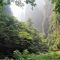 Zhangjiajie Nature Retreat — 6 Days / 5 Nights