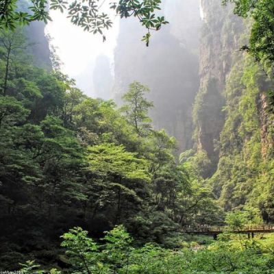 Zhangjiajie Nature Retreat — 6 Days / 5 Nights