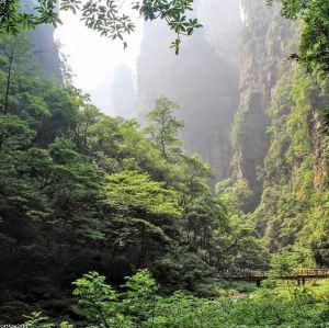 Zhangjiajie Nature Retreat — 6 Days / 5 Nights