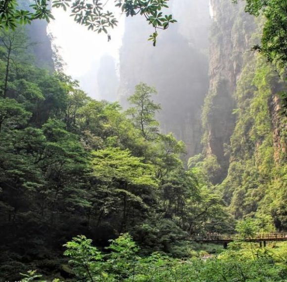 Zhangjiajie Nature Retreat — 6 Days / 5 Nights