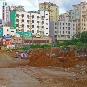 Greater Bay Area Urban Explorer — Shenzhen & Guangzhou 5 Days / 4 Nights