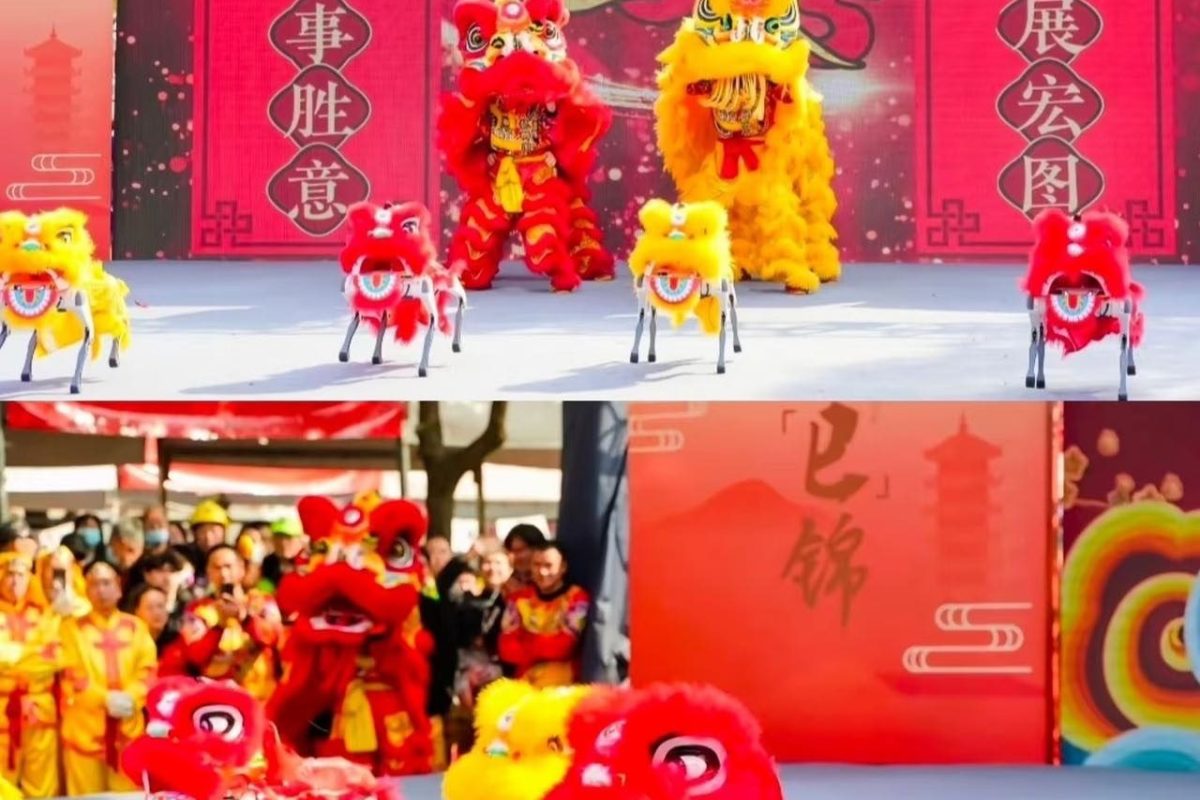 机器狗与戏曲演员同台，节目编排中的一幕