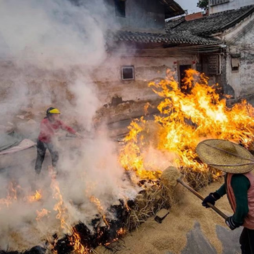 Hakka Mountain Living: 5-Day Intangible Heritage & Thermal Retreat | Guangdong
