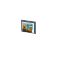 4.3