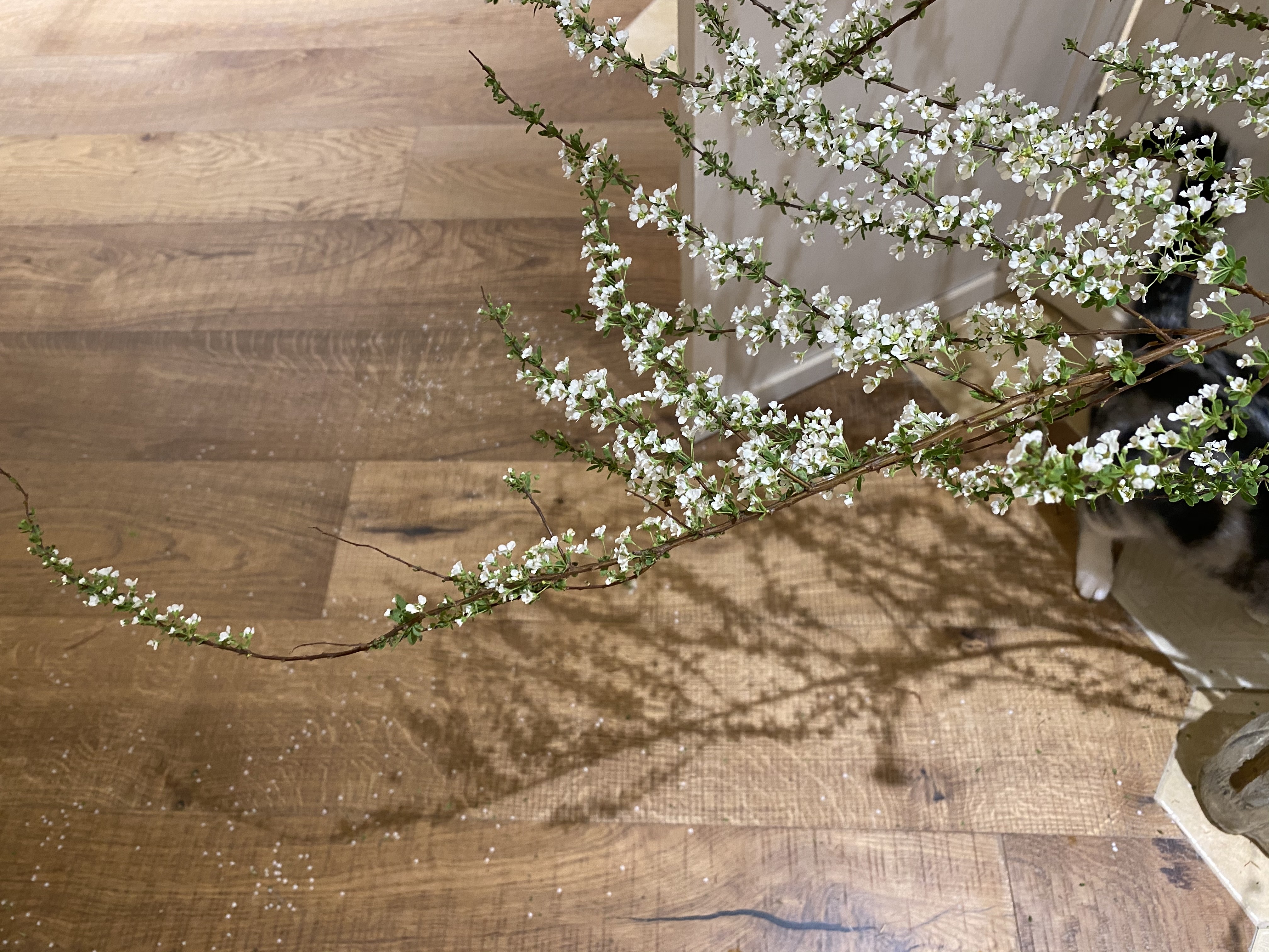  AC-09 OAK 3-LAYER-Long Plank Flooring installed in Milan Urban  Residence