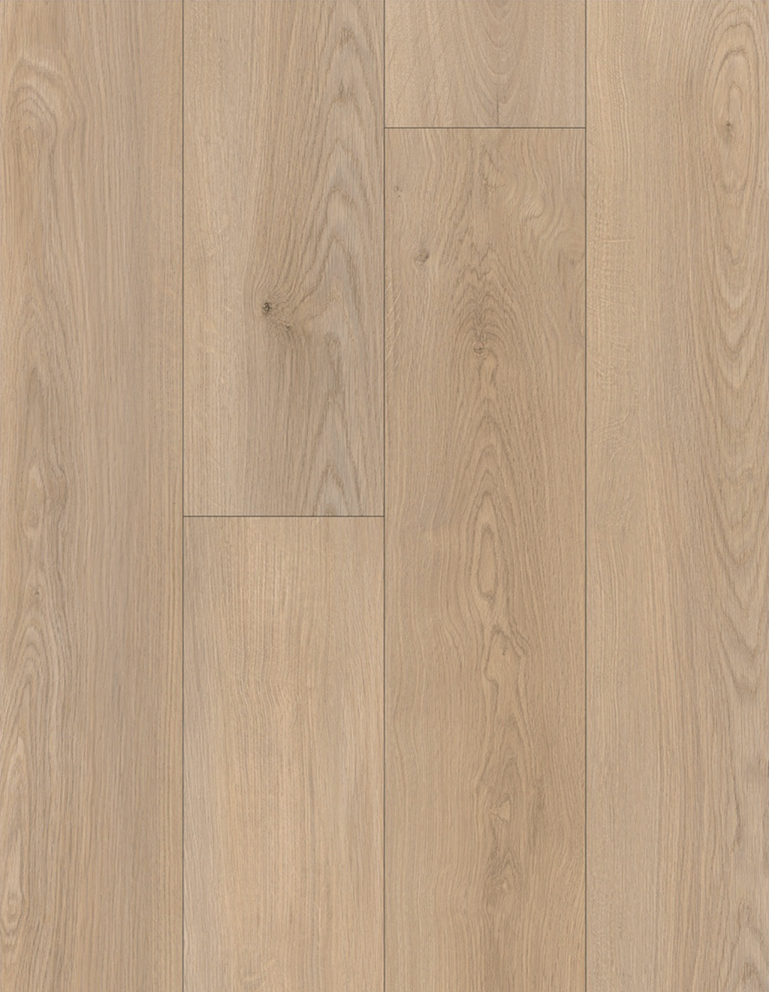 AMUER The Atlantic Coastal Cream Oak SPC hybrid flooring, 88343-2, light beige cream European oak decor with straight grain, EIR embossed texture, ultramaft matte finish, soft v-groove edge