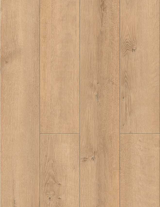 The Caribbean Sunlit Sand Oak SPC flooring warm beige oak texture close-up