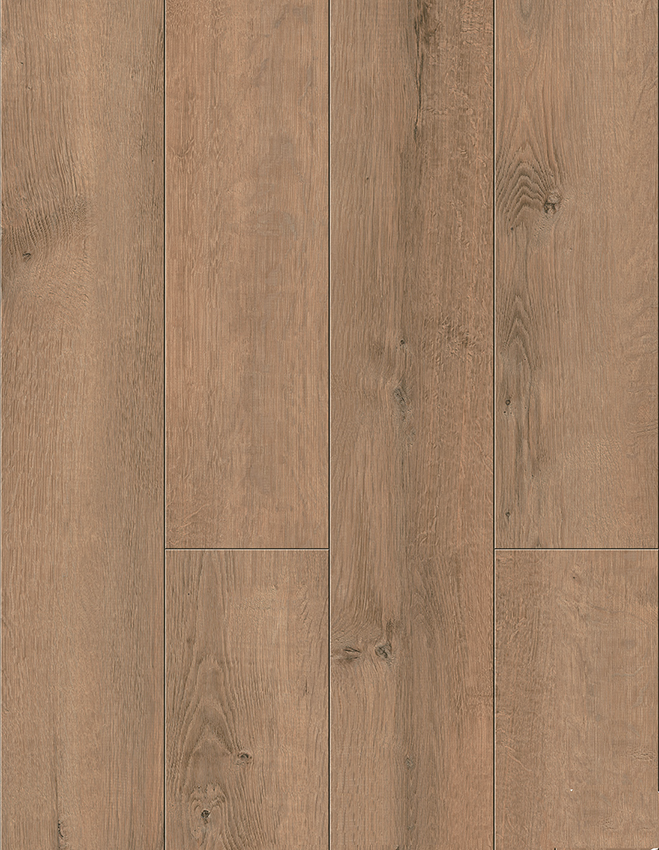 The Caribbean Coral Bay Oak SPC flooring light brown oak texture close-up