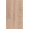 The Digital Printed SPC Flooring | Wood & Stone Look Flooring | AMUER