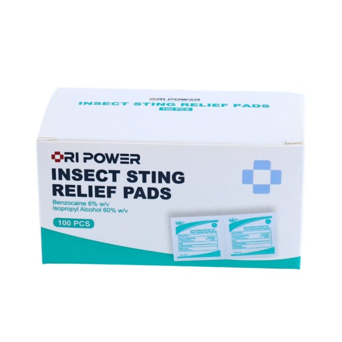 Insect Sting Relief Pads | Individually Wrapped | 100 Count | OEM