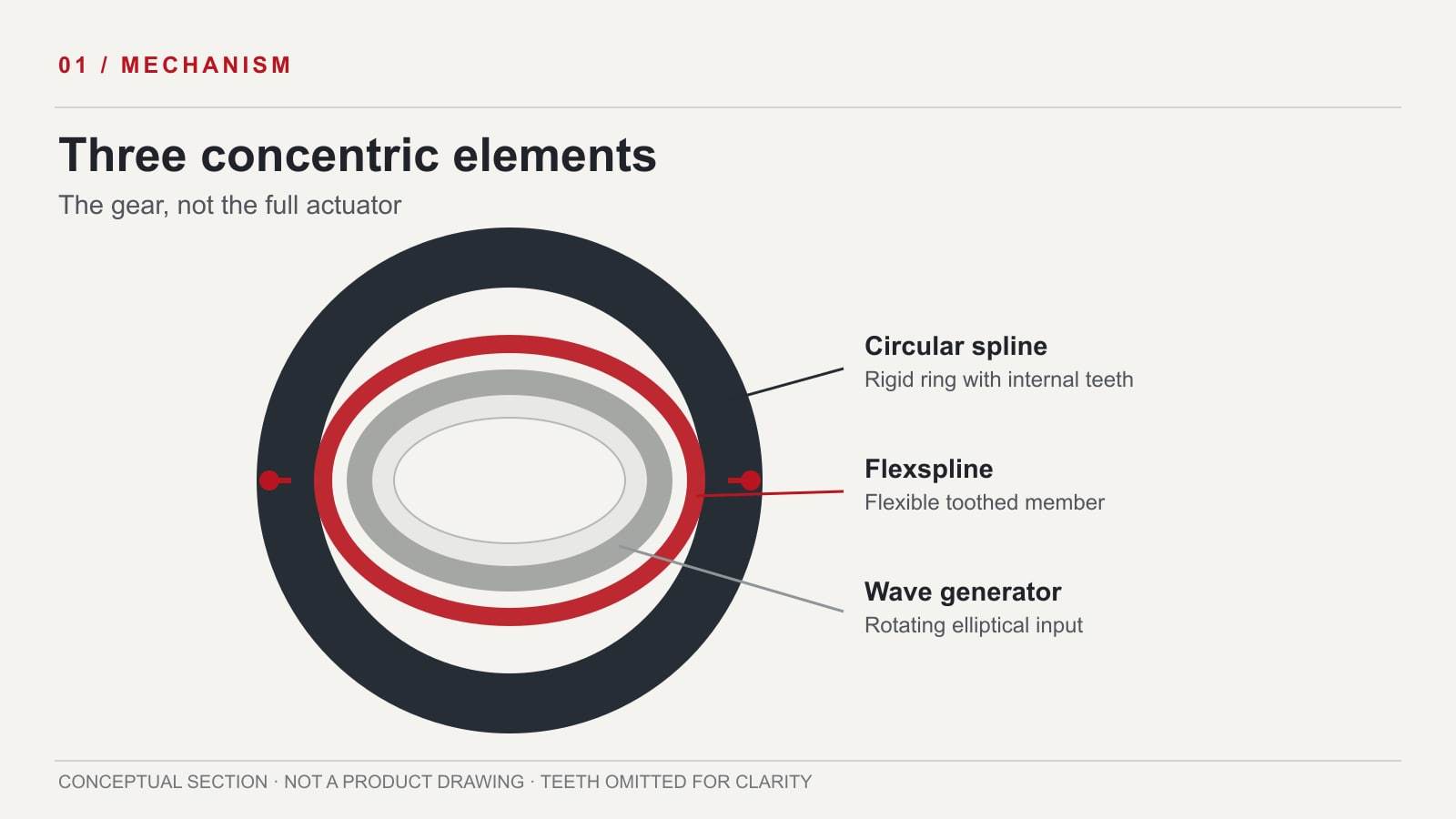 Original simplified diagram labeling circular spline, elliptical flexspline, and wave generator; teeth deliberately omitted