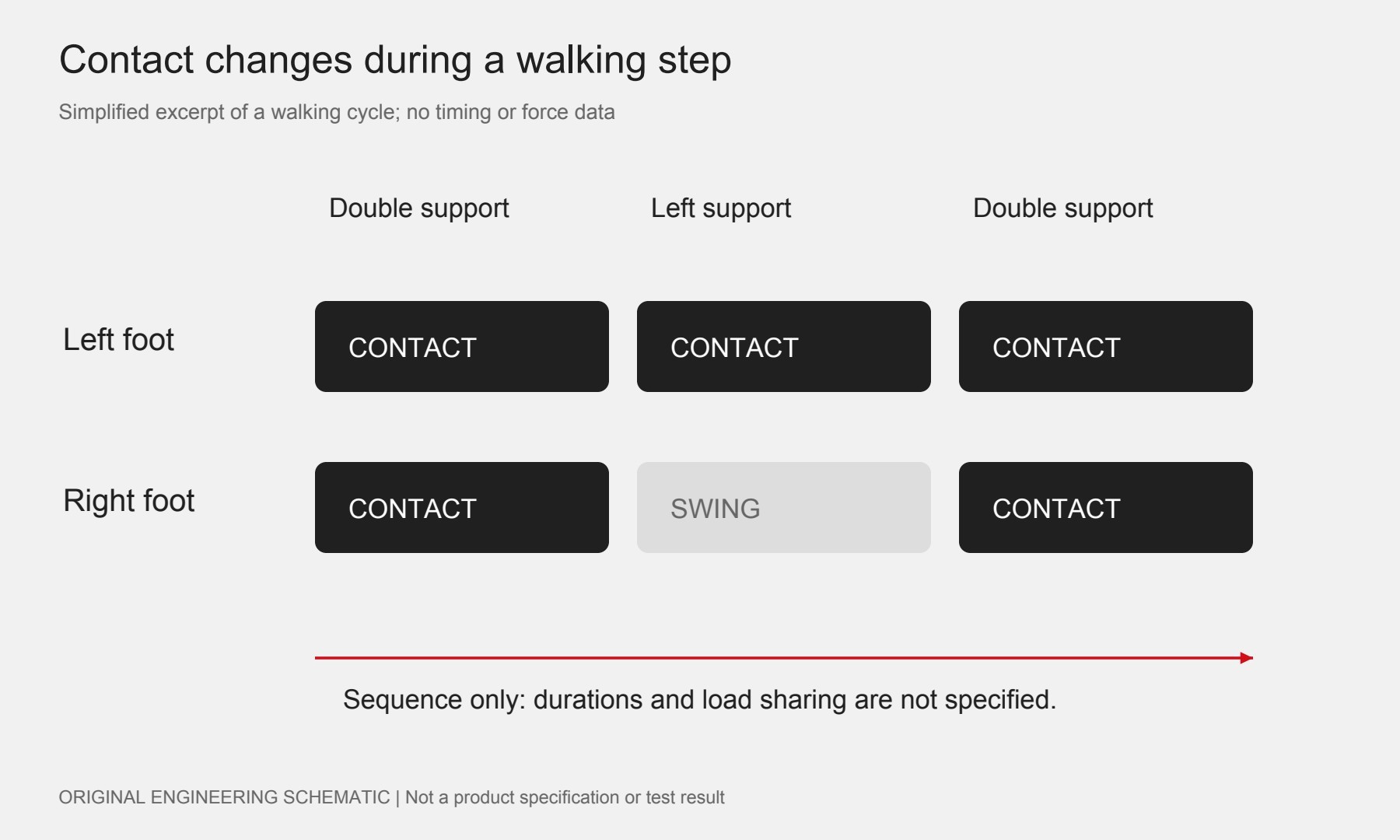 Schematic of left and right foot contact across double support, single support and double support