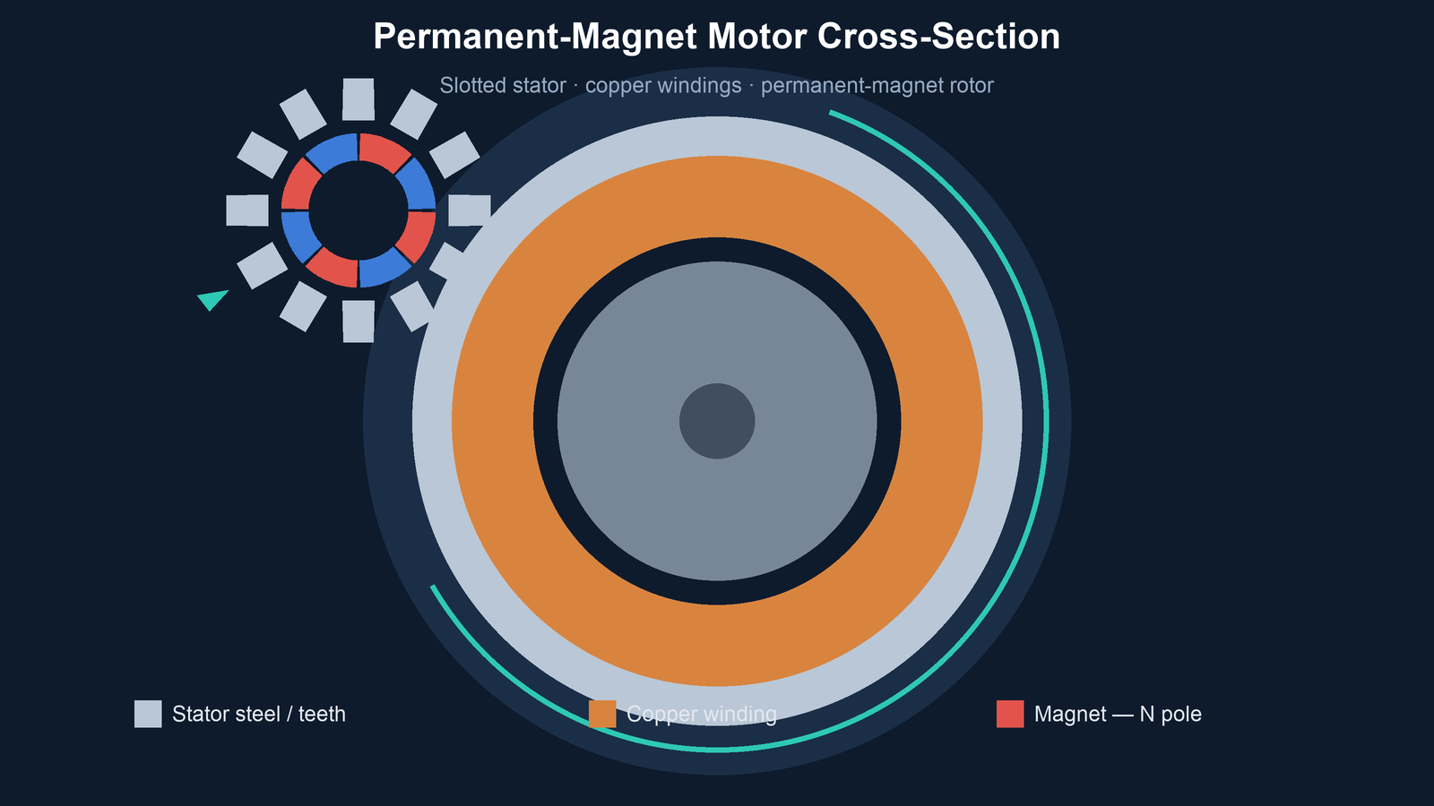 Permanent magnet motor cross-section showing a slotted stator, copper windings and a permanent-magnet rotor, the source of cogging torque