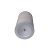 Compressor Air Filter Cartridge | OEM Compatible Manufacturer 22119168