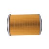 Rotary Screw Compressor Air Filter Element Manufacturer Supplier 250023-939