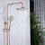 Premium Brushed Gold Finish | Brushed Gold | Exposed Shower System | Supplier for Bathroom Projects