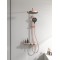 Premium Rose Gold PVD Finish Creates Designer Bathroom Style | Shiny Rose Gold | Exposed Shower System | Supplier for Bathroom Projects