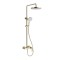 Piano Button Control Creates Premium Shower Experience | Brushed Gold | Exposed Shower System | Supplier for Bathroom Projects