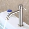 Brushed Nickel Single Cold Basin Tap Supplier with One-Piece Steel Body