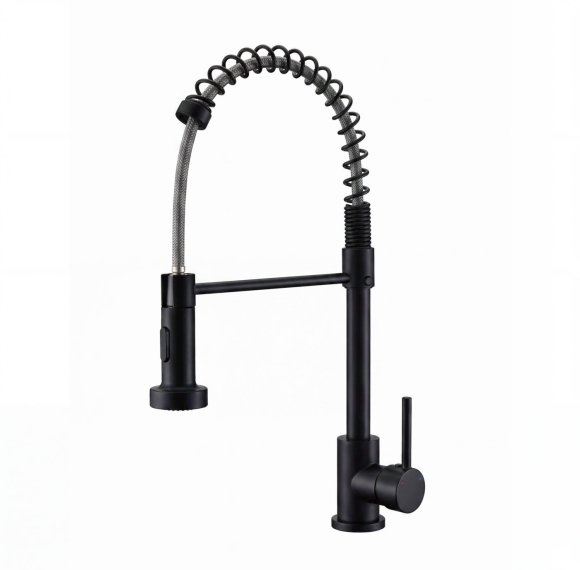 Matte Black Kitchen Faucet Supplier with Spring Coil Spray Head