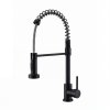 Matte Black Kitchen Faucet Supplier with Spring Coil Spray Head