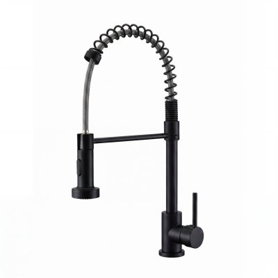 Matte Black Kitchen Faucet Supplier with Spring Coil Spray Head