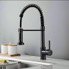Matte Black Kitchen Faucet Supplier with Spring Coil Spray Head