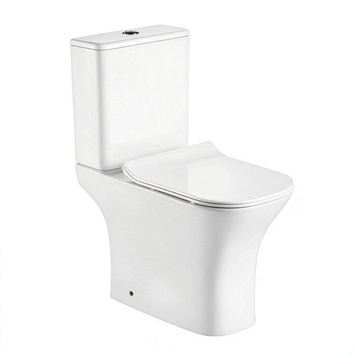 White Two Piece Toilet Supplier with Direct Washdown Flush and Soft Close Seat