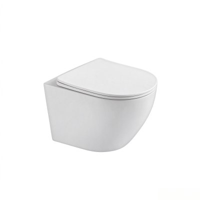 White Wall Hung Toilet Supplier with 490mm Shallow Projection for Small Bathrooms