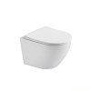 White Wall Hung Toilet Supplier with 490mm Shallow Projection for Small Bathrooms