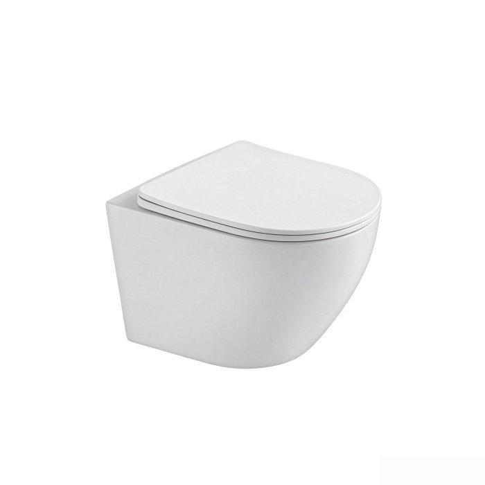 White Wall Hung Toilet Supplier with 490mm Shallow Projection for Small Bathrooms