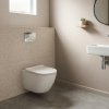 White Wall Hung Toilet Supplier with 490mm Shallow Projection for Small Bathrooms
