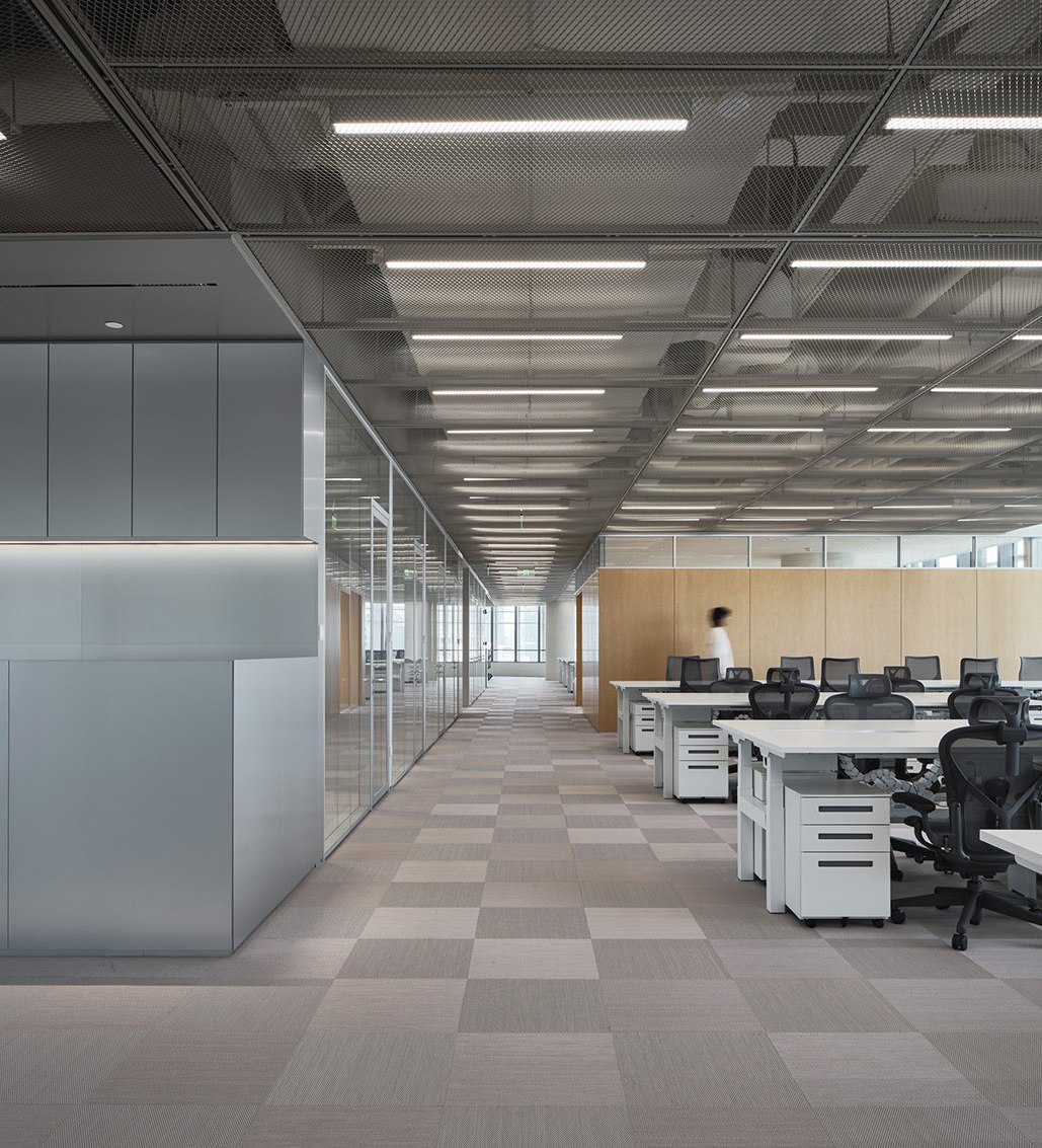 Linear ceiling runs on perforated stainless steel receding to a single vanishing point