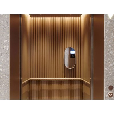 Stainless Steel Elevator Cabin Wall Panel