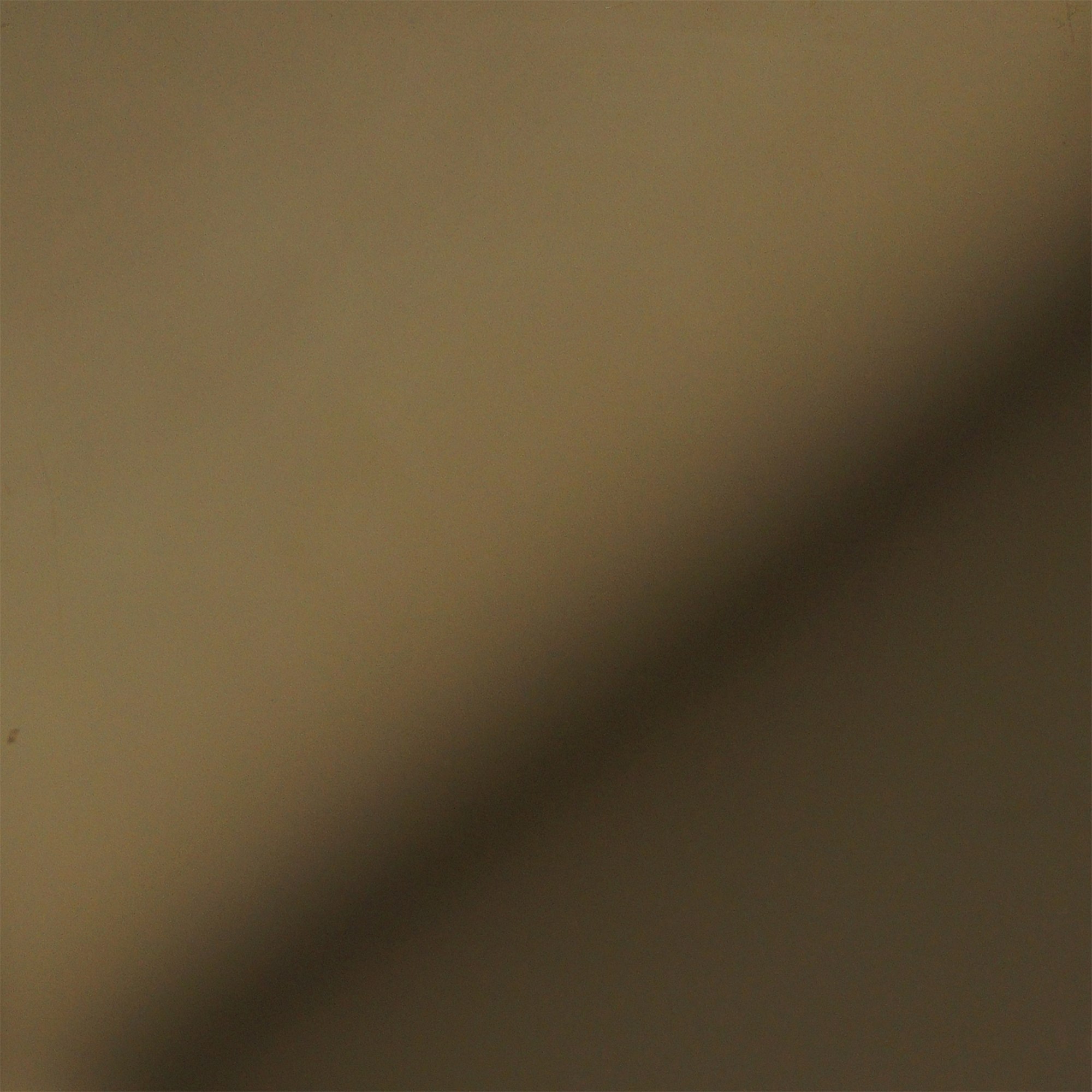 Champagne gold mirror stainless steel where the same tone reads brighter and more reflective