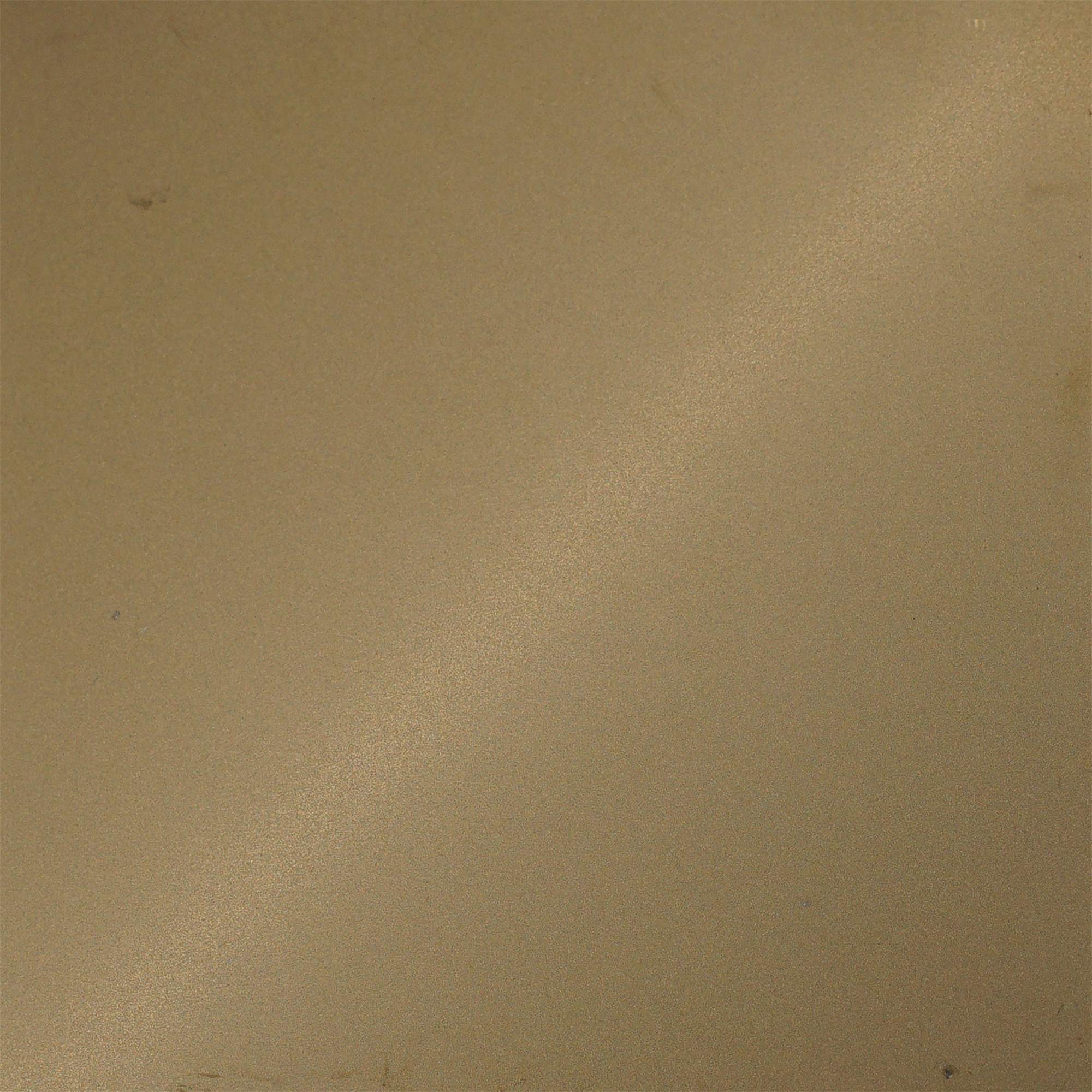 Champagne gold bead blasted stainless steel with a soft diffused matte surface