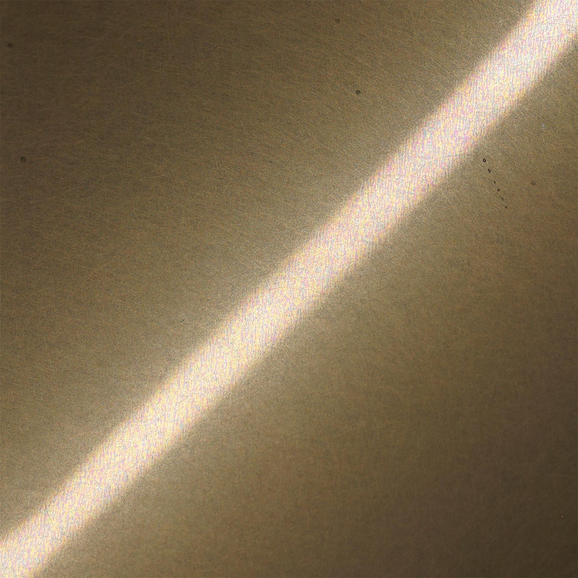 Champagne gold over a satin No.4 style base, where brushed texture softens reflection while keeping visible grain