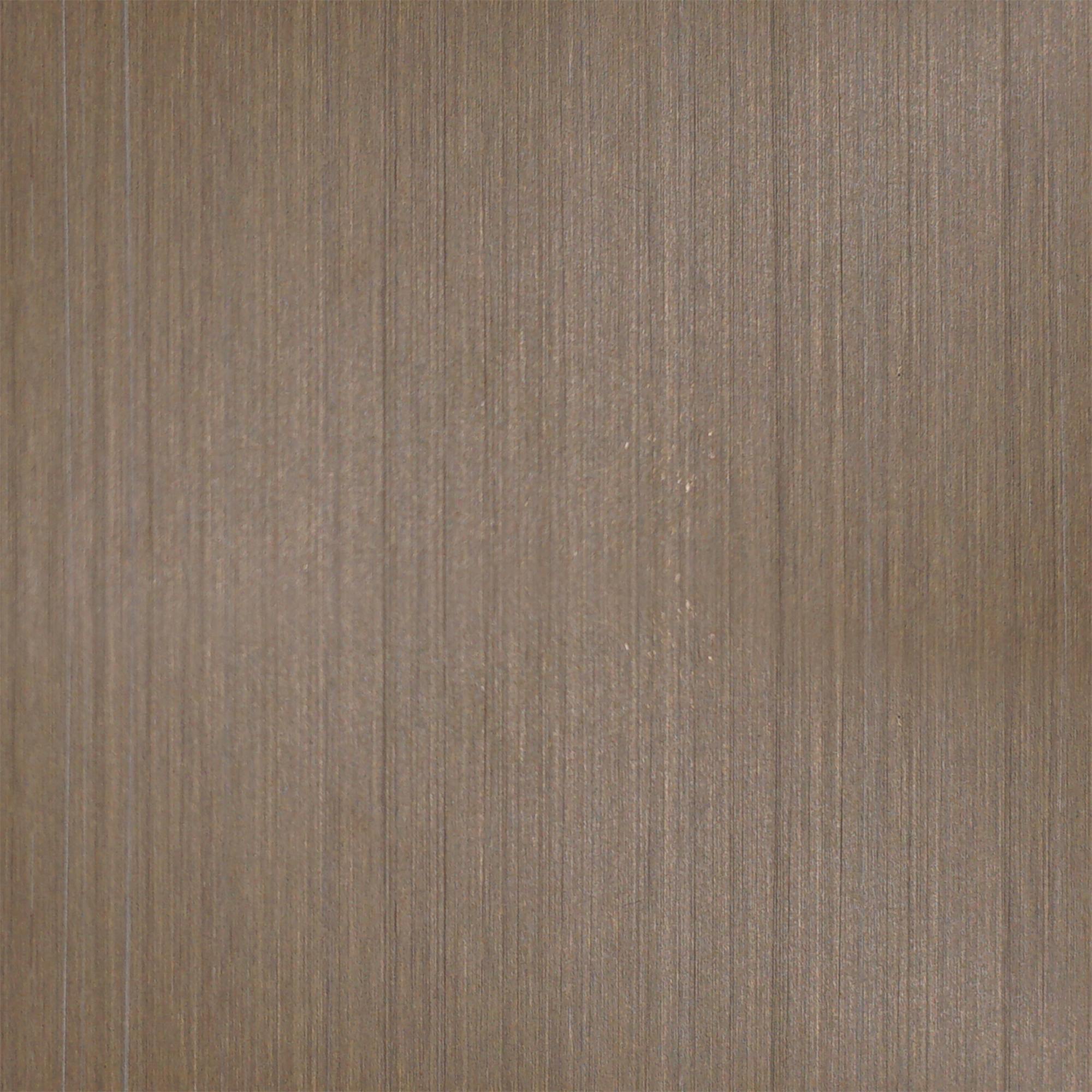 Champagne gold stainless steel under broad even daylight, its metallic color read against the underlying surface