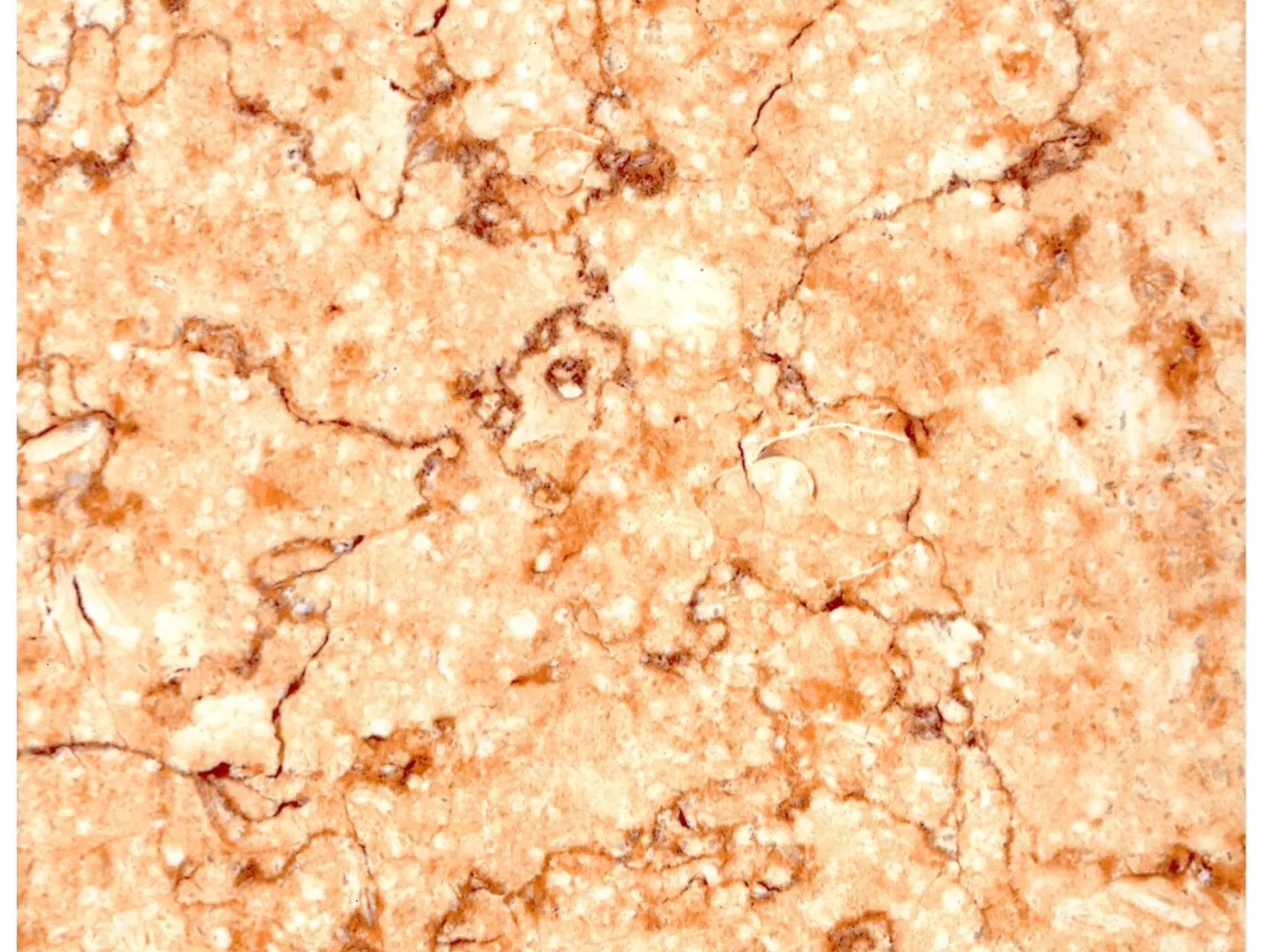 A printed stainless steel surface in a warm amber tone, showing how a palette translates onto metal