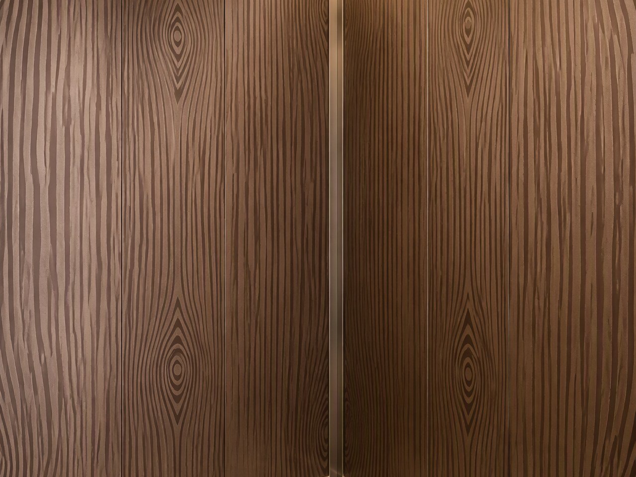 A stainless steel elevator interior where a warm printed effect is carried across the cab panels