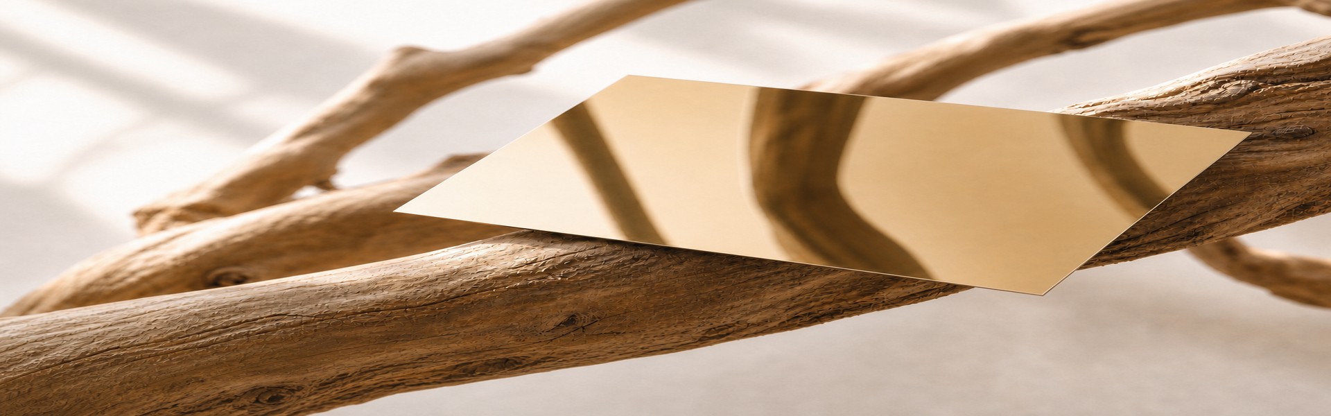 Gold mirror finished PVD colour coated stainless steel sample plate resting on weathered driftwood