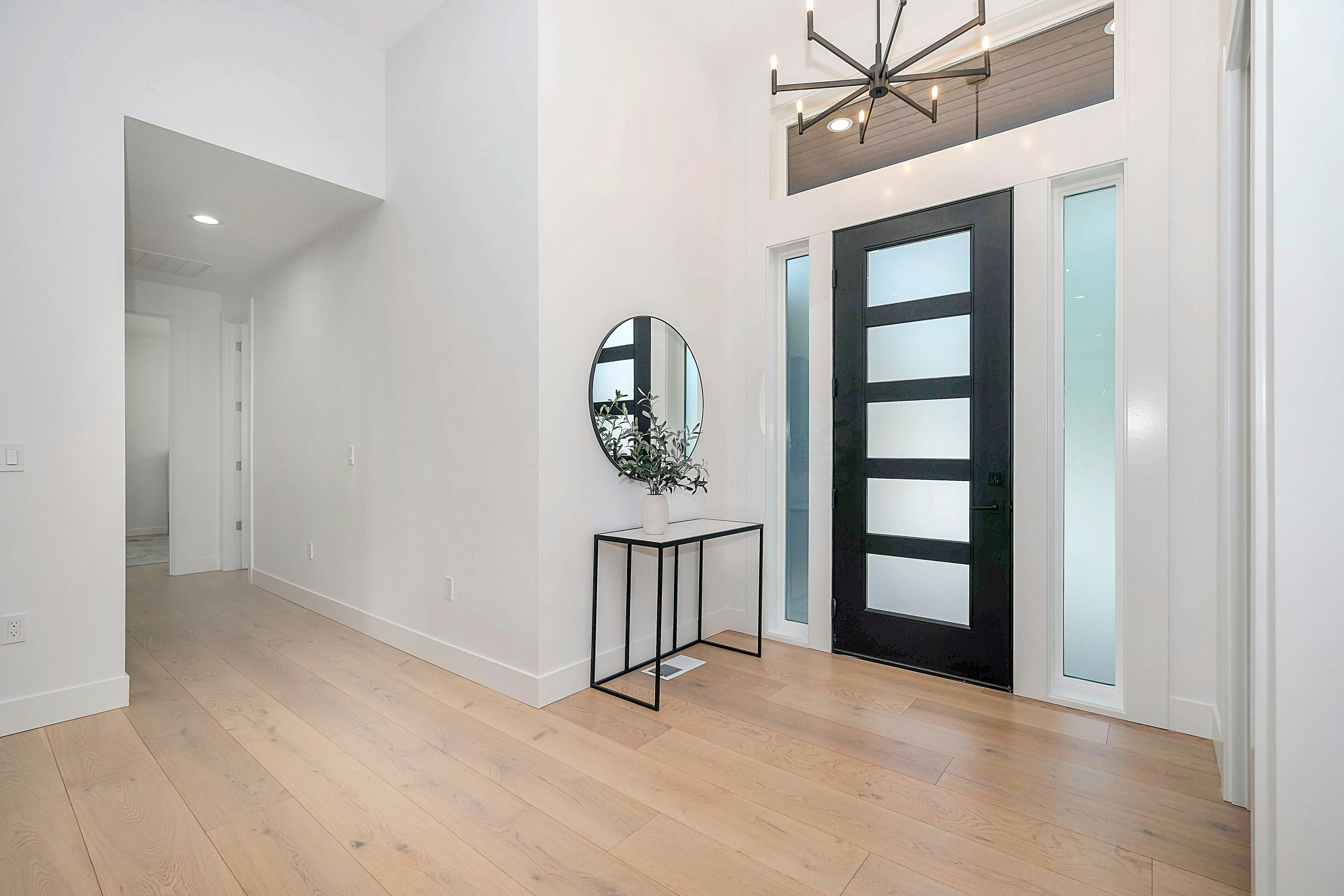 Sleek aluminum entry door with clean lines and a minimalist design.